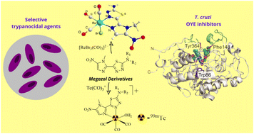Graphical abstract: Rhenium(i) and technetium(i) complexes with megazol derivatives: towards the development of a theranostic platform for Chagas disease