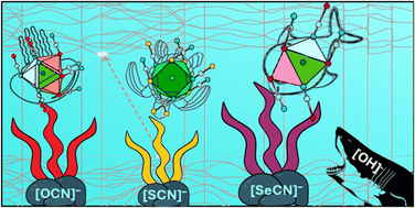 Graphical abstract: Synthesis, XRD and DFT studies on Pb[ChCN]2 (Ch = O, S, Se) and Pb[SeCN][OH]