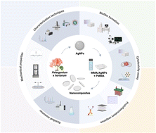 Graphical abstract: Biological and mechanical properties of a self-curing acrylic resin enriched with AgNPs as a proposal for orthopedic aparatology