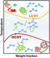 Graphical abstract: LCST/UCST behavior of polysaccharides for hydrogel fabrication