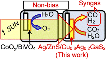 Graphical abstract: Improvement of performance to form syngas utilizing water and CO2 over a particulate-Cu0.8Ag0.2GaS2-based photocathode by surface co-modification with ZnS and Ag