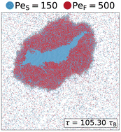 Graphical abstract: Binary mixtures of active Brownian particles with distinct nonzero activities