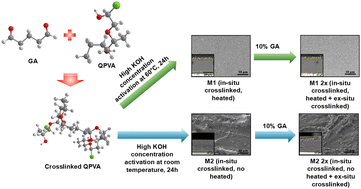 Graphical abstract: The impact of double crosslinking and alkaline activation strategies on the multifaceted characteristics of quaternized poly(vinyl alcohol) anion exchange membranes