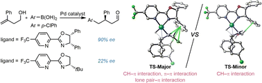 Graphical abstract: Mechanistic insights into the stereocontrolling non-covalent π interactions in Pd-catalyzed redox-relay Heck arylation reaction