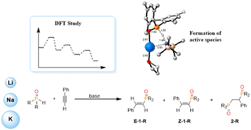Graphical abstract: Understanding alkali-metal driven hydrophosphorylation: mechanism and challenges in the Pudovik reaction