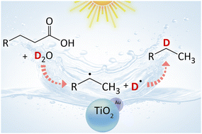 Graphical abstract: Photocatalytic decarboxylative deuteration of lauric acid with heavy water for sustainable synthesis of deuterated alkanes