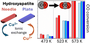 Graphical abstract: Cu-exchanged hydroxyapatites as green catalysts for CO oxidation