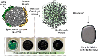 Graphical abstract: Upcycling spent medium-Ni cathodes via novel liquified salt sourcing