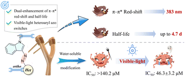 Graphical abstract: Visible-light-responsive indoleazopyrazole photoswitches: dual enhancement of redshift and half-life by ester modification at the ortho position