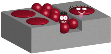 Graphical abstract: Directed self-organization of block copolymer micelles on topographic substrates