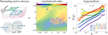 Graphical abstract: Long-range order in two-dimensional systems with fluctuating active stresses