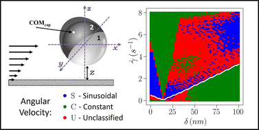 Graphical abstract: Dynamics of a bottom-heavy Janus particle near a wall under shear flow