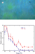 Graphical abstract: Freedericksz transitions in the nematic and smectic ZA phases of DIO