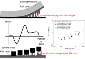 Graphical abstract: Viscous dissipative energy density as a general adhesion characteristic of adhesive tape