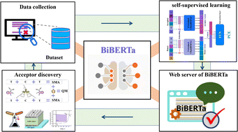 Graphical abstract: BiBERTa: a self-supervised framework for accelerating the discovery of stable organic photovoltaic materials