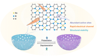 Graphical abstract: Hollow carbon bowls with cobalt single-atom sites enable fast and reversible potassium storage