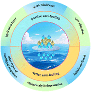 Graphical abstract: Recent advances in anti-fouling oil–water separation membranes: a review focusing on active and passive anti-fouling strategies
