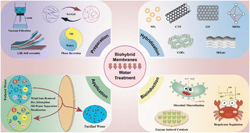 Graphical abstract: Recent advances in biohybrid membranes for water treatment: preparation strategies, nano-hybridization, bioinspired functionalization, applications, and sustainability analysis