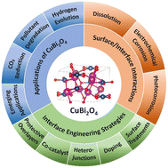 Graphical abstract: Interfacial chemistry of CuBi2O4 in aqueous media: engineering strategies for energy and environmental applications