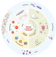 Graphical abstract: Ultrasound-responsive smart biomaterials for bone tissue engineering