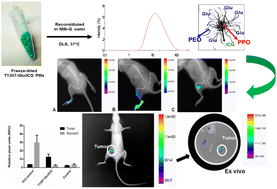 Graphical abstract: Indocyanine green within glycosylated polymeric micelles as potential image agents to map sentinel lymph nodes and breast cancer