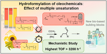 Graphical abstract: The effect of polyunsaturation – insights into the hydroformylation of oleochemicals