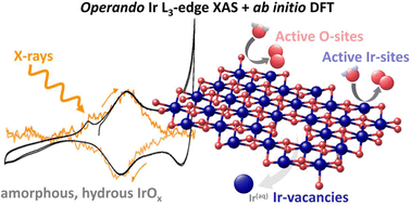 Graphical abstract: Unravelling the mechanistic complexity of the oxygen evolution reaction and Ir dissolution in highly dimensional amorphous hydrous iridium oxides