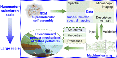 Graphical abstract: Advancing micro-nano supramolecular assembly mechanisms of natural organic matter by machine learning for unveiling environmental geochemical processes