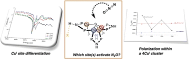 Graphical abstract: Cu site differentiation in tetracopper(i) sulfide clusters enables biomimetic N2O reduction