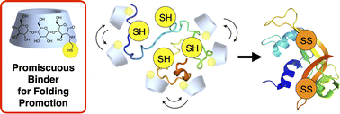 Graphical abstract: Redox-active chemical chaperones exhibiting promiscuous binding promote oxidative protein folding under condensed sub-millimolar conditions