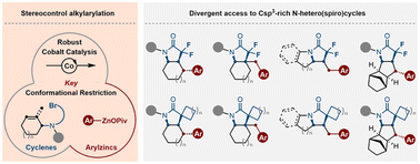 Graphical abstract: Cobalt-catalyzed conformationally restricted alkylarylation enables divergent access to Csp3-rich N-heterocycles
