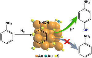 Graphical abstract: Exclusive catalytic hydrogenation of nitrobenzene toward p-aminophenol over atomically precise Au36(SR)24 clusters