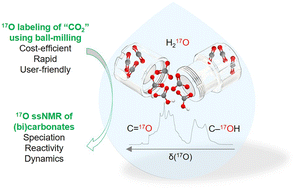 Graphical abstract: Capturing and labeling CO2 in a jar: mechanochemical 17O-enrichment and ssNMR study of sodium and potassium (bi)carbonate salts