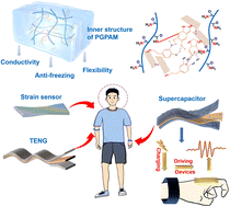 Graphical abstract: Versatile hydrogel towards coupling of energy harvesting and storage for self-powered round-the-clock sensing