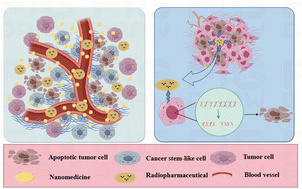 Graphical abstract: Polymeric nanoparticles in radiopharmaceutical delivery strategies