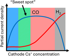 Graphical abstract: Flooding revisited: electrolyte management ensures robust electrochemical CO2 reduction
