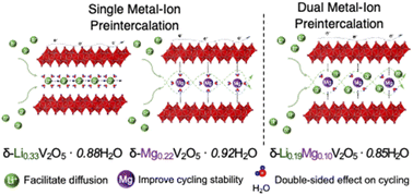 Graphical abstract: Enhanced cycling performance of bilayered vanadium oxide cathode in Li-ion batteries via dual metal-ion preintercalation