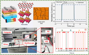 Graphical abstract: Realising ultrafast perovskite photodetectors via 2D synergy for optical communication and sensitive light detection