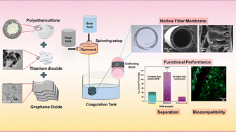 Graphical abstract: Titanium dioxide/graphene oxide blending into polyethersulfone hollow fiber membranes improves biocompatibility and middle molecular weight separation for bioartificial kidney and hemodialysis applications