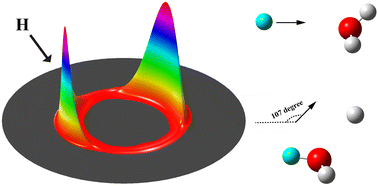 Graphical abstract: Unusual differential cross sections for the H + D2O → D + HOD exchange reaction induced by the C3V transition state and quantum interference