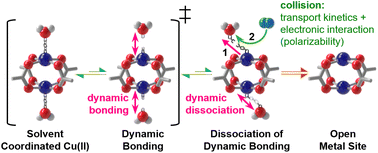 Graphical abstract: Gas-flow activation of MOFs: unlocking efficient catalysis through dynamic bonding