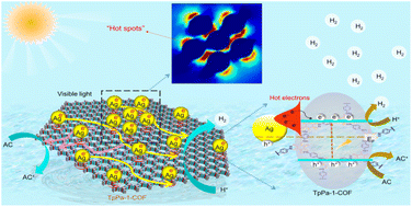 Graphical abstract: Insights into the plasmonic “hot spots” and efficient hot electron injection induced by Ag nanoparticles in a covalent organic framework for photocatalytic H2 evolution