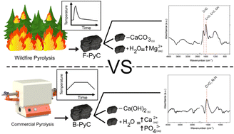 Graphical abstract: Physicochemical differences between wildfire pyrogenic carbon and slow-pyrolysis biochar suggest variations in elemental transport potential