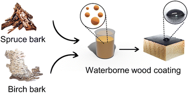 Graphical abstract: Fully bio-based water-resistant wood coatings derived from tree bark