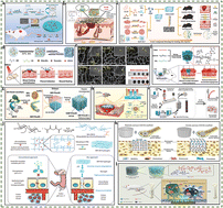 Graphical abstract: Exploring the wonders of polysaccharides in porous materials
