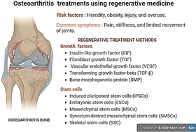 Graphical abstract: Advancements in regenerative medicine: a comprehensive review of stem cell and growth factor therapies for osteoarthritis