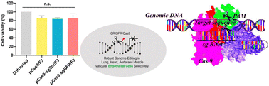 Graphical abstract: Mechanistic understanding of pH as a driving force in cancer therapeutics