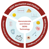 Graphical abstract: Nanomaterials and clinical SERS technology: broad applications in disease diagnosis