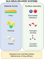 Graphical abstract: Influence of material format and surface chemistry for the sustained delivery and efficacy of silk drug delivery systems in vivo