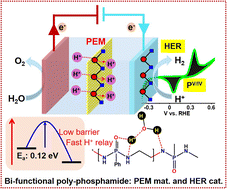 Graphical abstract: Intrinsic proton relay in poly-phosphamides to bolster proton exchange membrane fabrication and electrocatalytic proton reduction